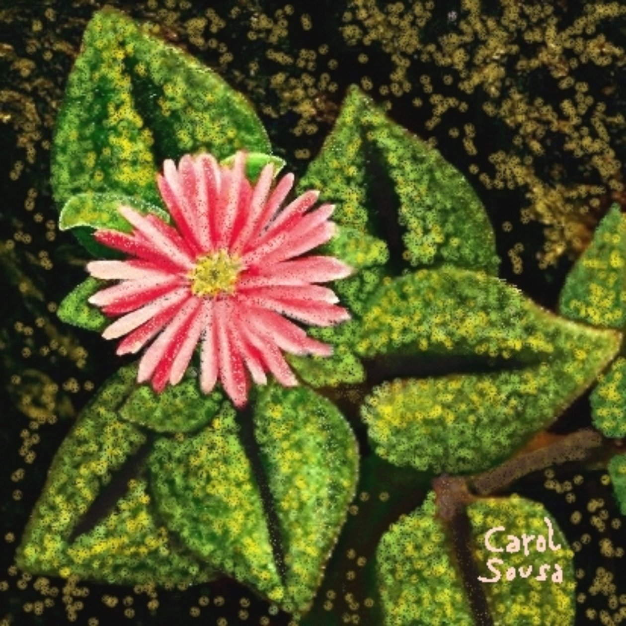 Flor silvestre 作者 卡罗尔·苏萨·奎略