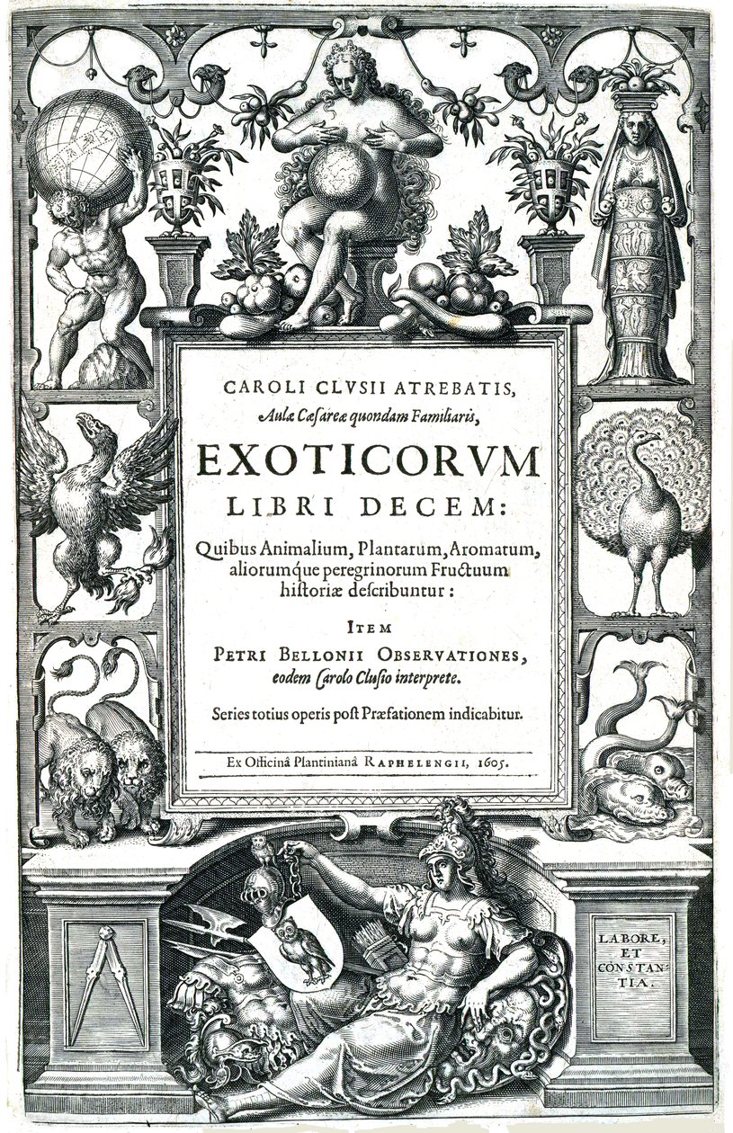 Exoticorum书 作者 卡洛斯·克卢修斯（Carolus Clusius）
