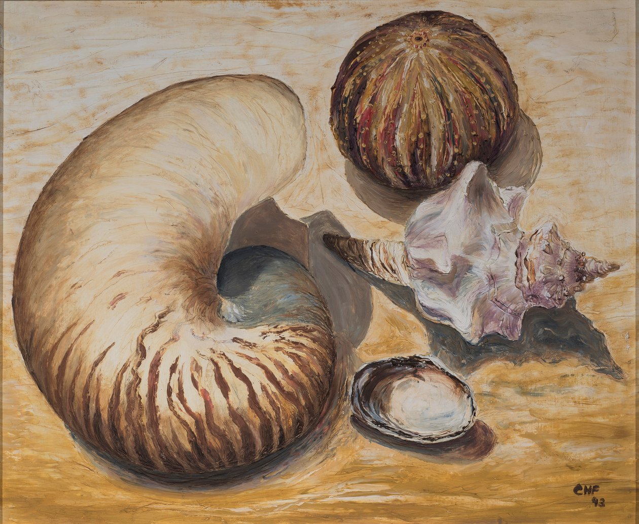 贝壳，1993年（纸上油） 作者 卡罗琳·哈伯德·福特