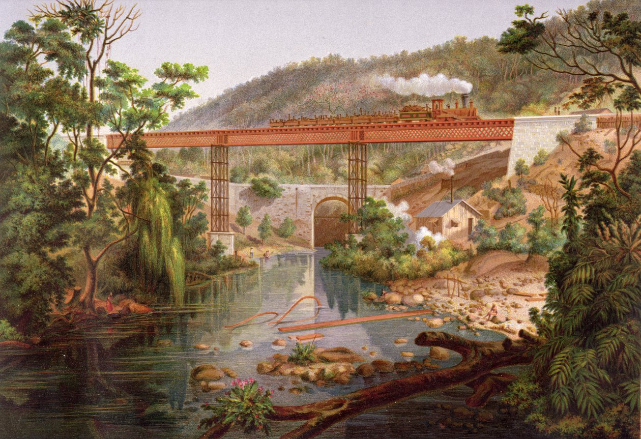 Atoyac的铁路桥，来自Antonio Garcia Cubas的“墨西哥铁路专辑”，1878年出版（chromolitho） 作者 卡西米罗·卡斯特罗（Casimiro Castro）