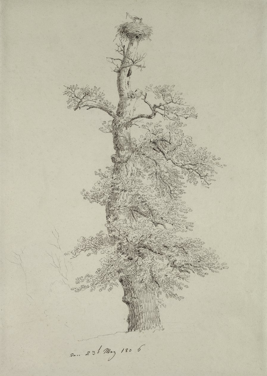 1806年5月23日，古代橡树与鹳巢 作者 卡斯珀·大卫·弗里德里希（Caspar David Friedrich）