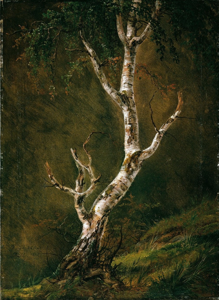 研究白桦树 作者 卡斯珀·大卫·弗里德里希（Caspar David Friedrich）