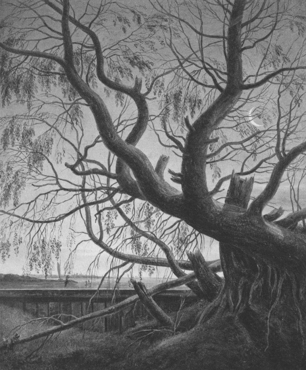 柳树在月光下 作者 卡斯珀·大卫·弗里德里希（Caspar David Friedrich）