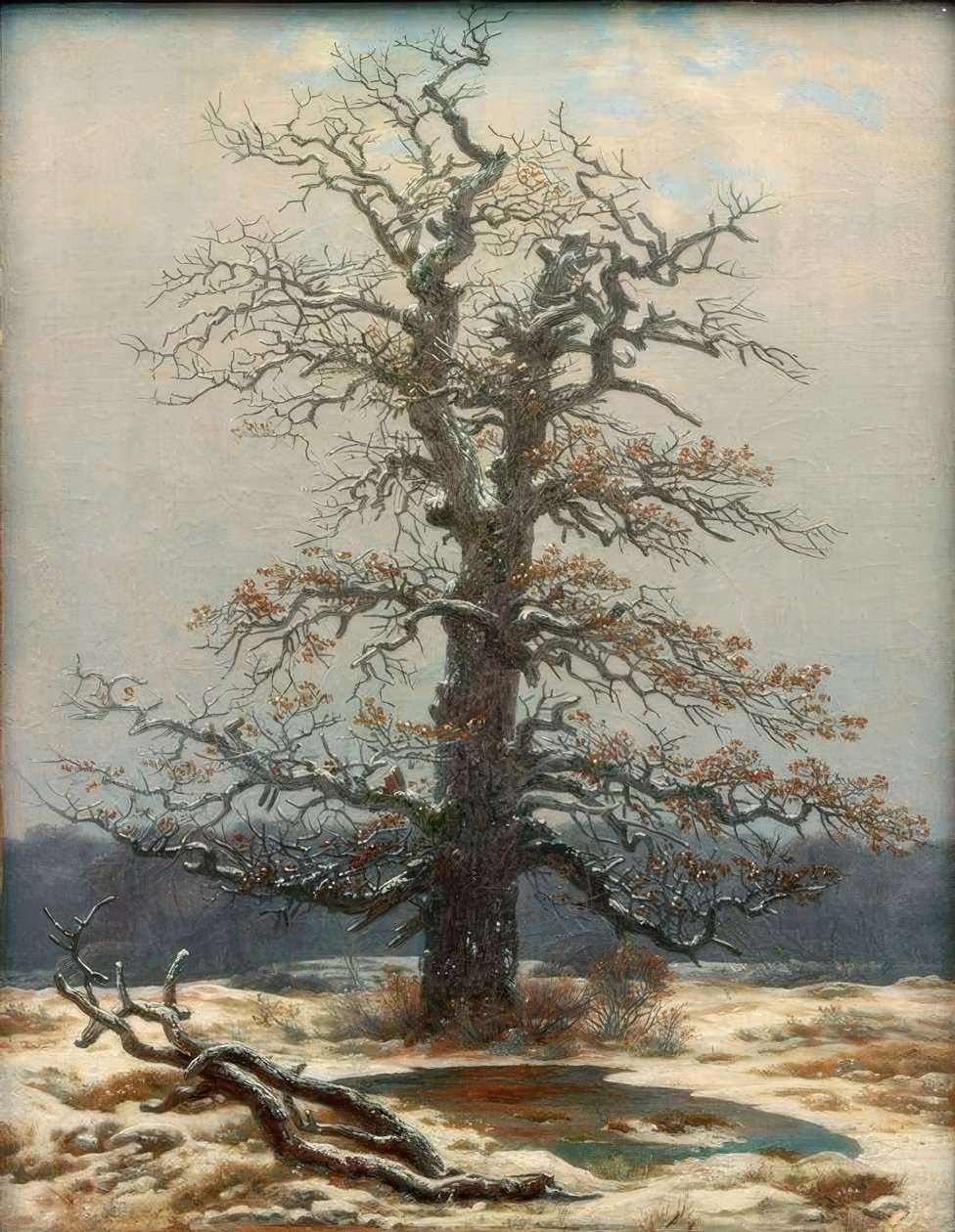 雪中的橡树 作者 卡斯珀·大卫·弗里德里希（Caspar David Friedrich）