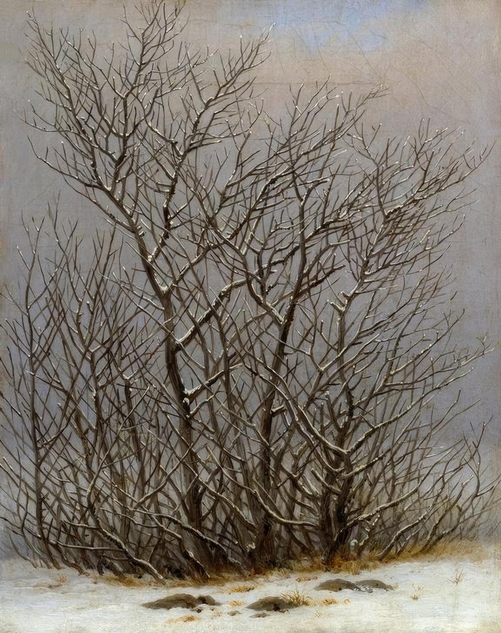 雪中的灌木丛 作者 卡斯珀·大卫·弗里德里希（Caspar David Friedrich）