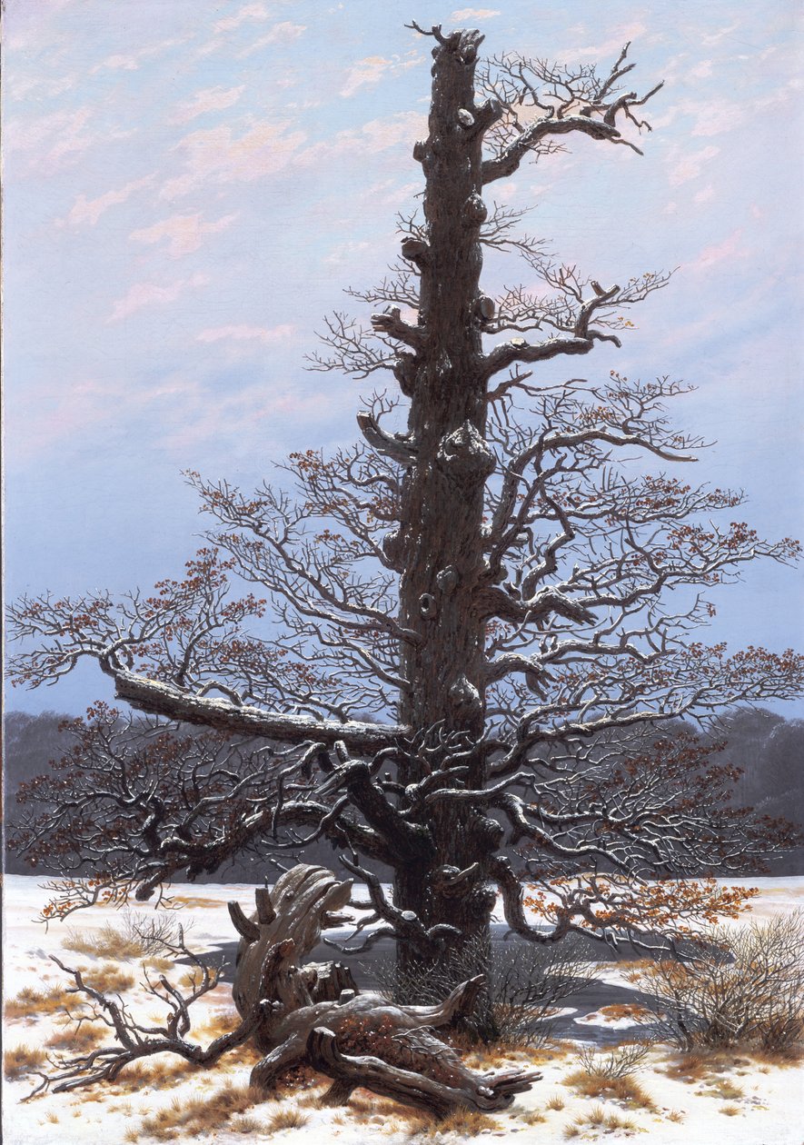德语: Eichbaum im Schnee 雪中的橡树 作者 卡斯珀·大卫·弗里德里希（Caspar David Friedrich）