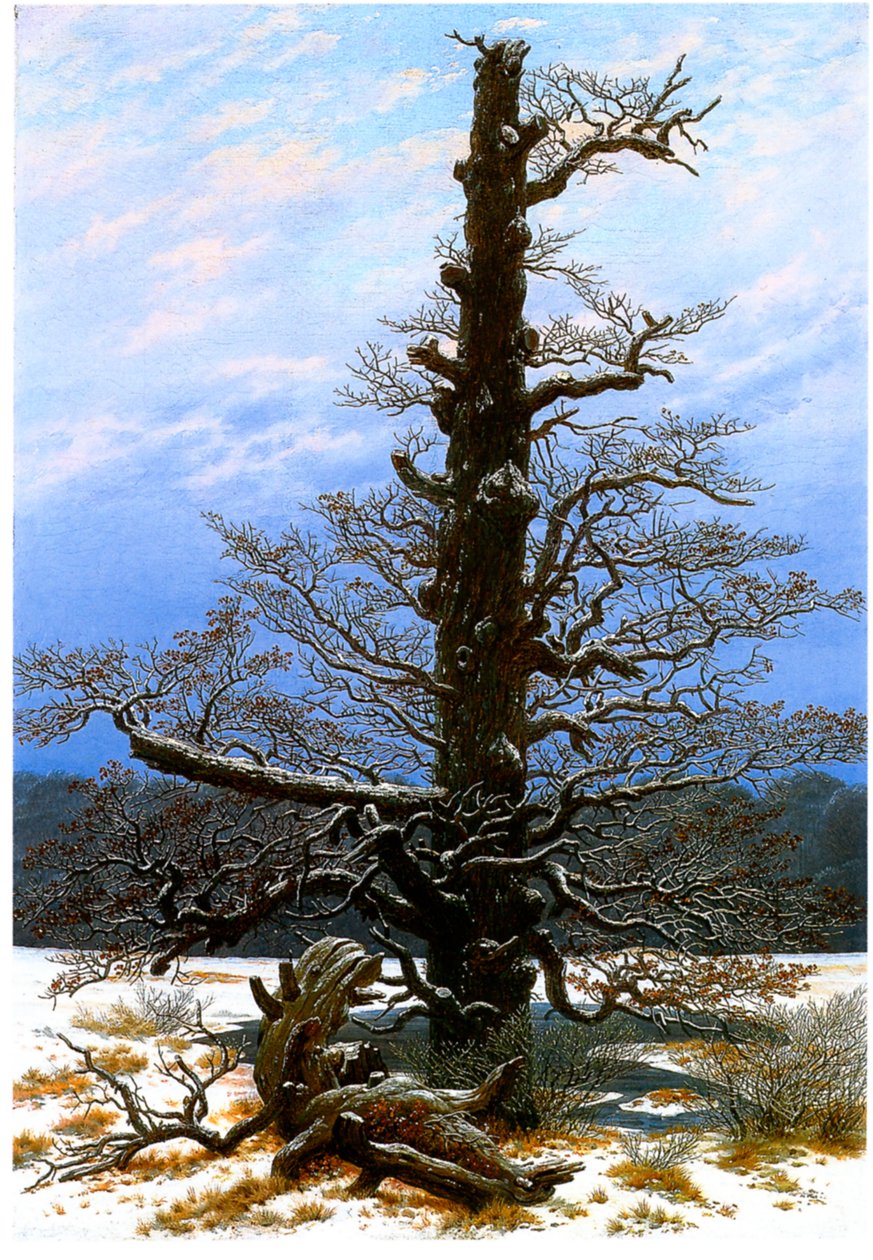 德语: Eichbaum im Schnee 雪中的橡树 作者 卡斯珀·大卫·弗里德里希（Caspar David Friedrich）