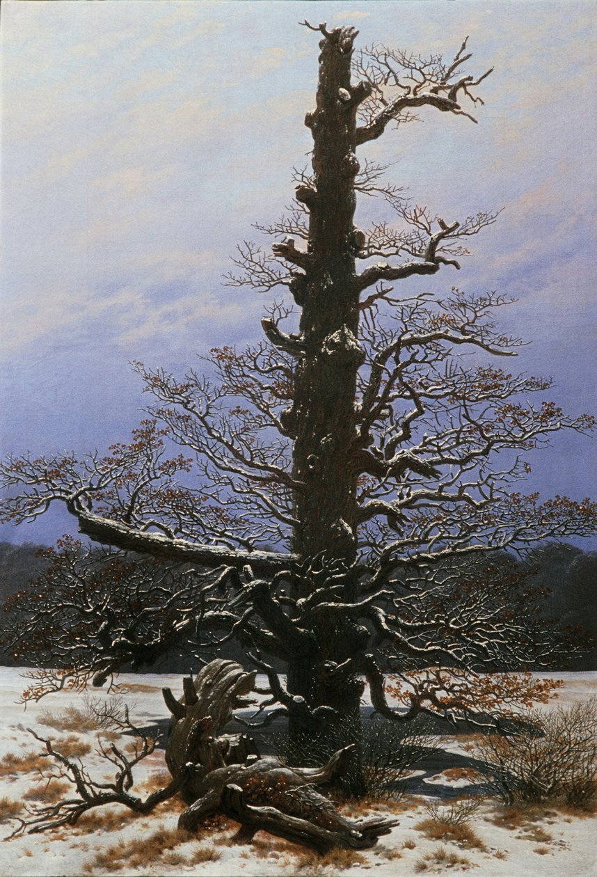 雪中的橡树 作者 卡斯珀·大卫·弗里德里希（Caspar David Friedrich）