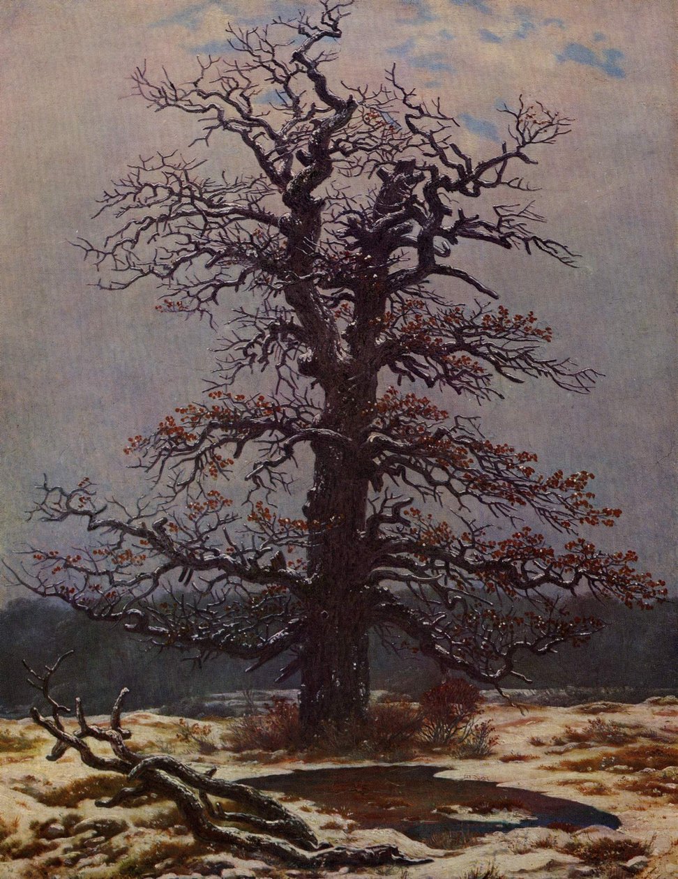 雪中橡树 作者 卡斯珀·大卫·弗里德里希（Caspar David Friedrich）
