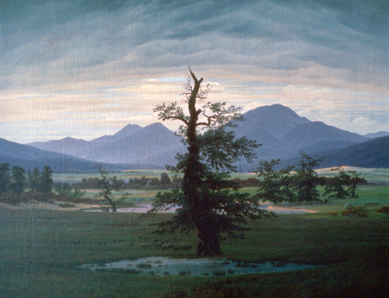 孤树，1823年 作者 卡斯珀·大卫·弗里德里希（Caspar David Friedrich）