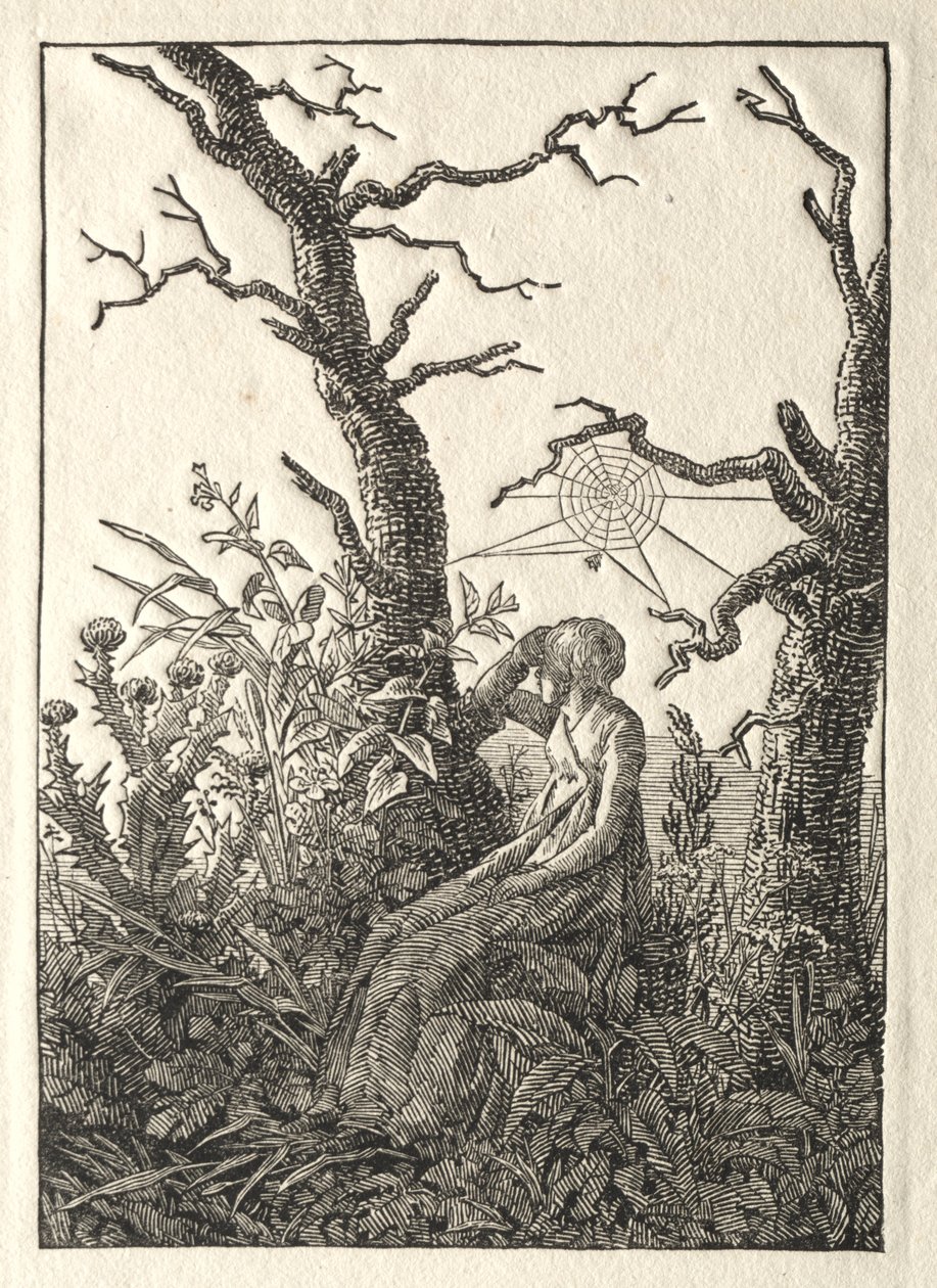 1803年，裸树之间有蜘蛛网的女人。 作者 卡斯珀·大卫·弗里德里希（Caspar David Friedrich）
