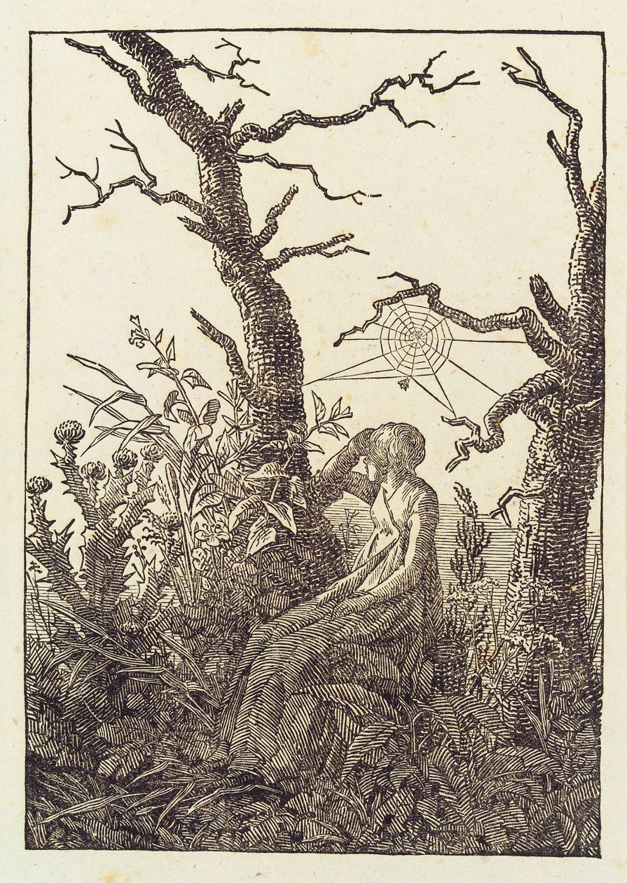 蜘蛛网上的女人 作者 卡斯珀·大卫·弗里德里希（Caspar David Friedrich）