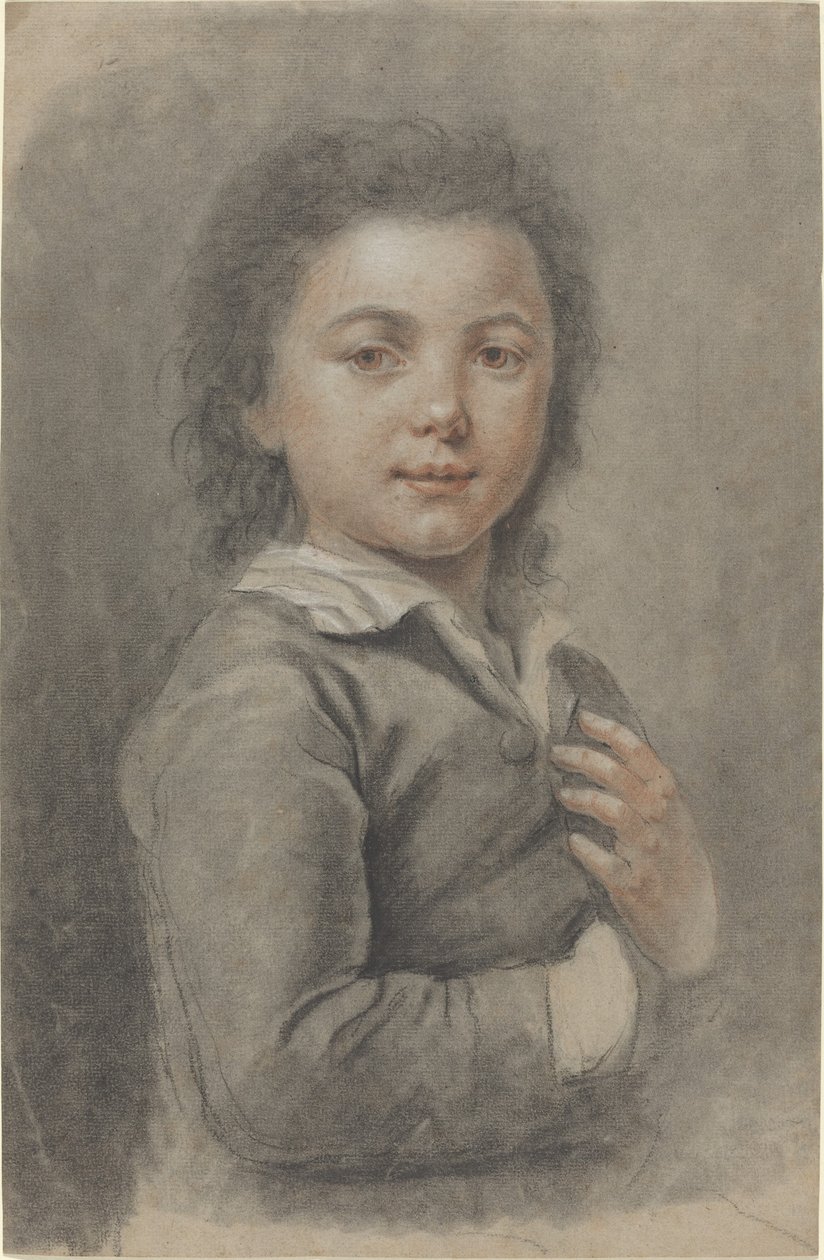 一个年轻男孩的画像 作者 凯瑟琳·路苏瑞（Catherine Lusurier）