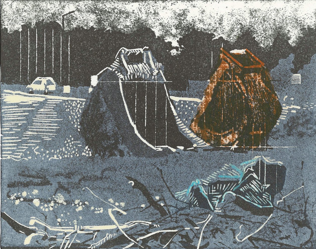 主要财产》，2014 年（连版画和蚀刻版画） 作者 凯瑟琳·萨克利夫·富勒
