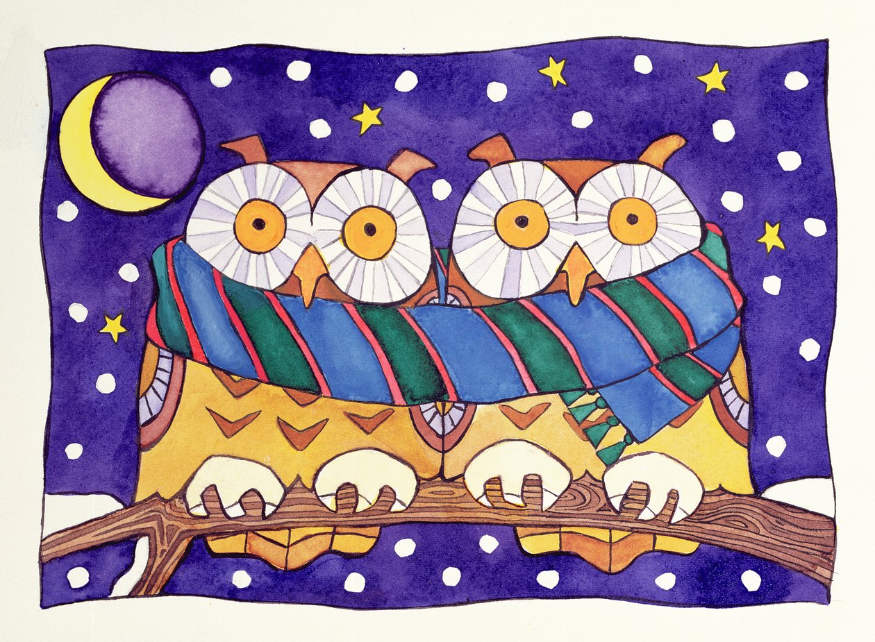 猫头鹰之夜 作者 凯茜·巴克斯特（Cathy Baxter）