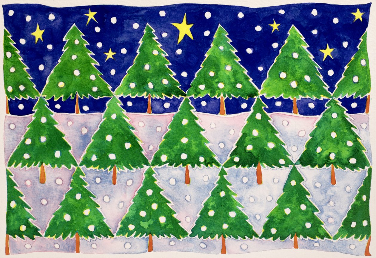 星星和雪 作者 凯茜·巴克斯特（Cathy Baxter）