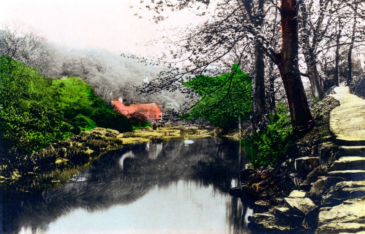 泰恩河畔纽卡斯尔的泰勒·威尔（Jynesmond Dene），泰恩＆威尔（Tyne＆Wear），1926年。 作者 Cavenders有限公司