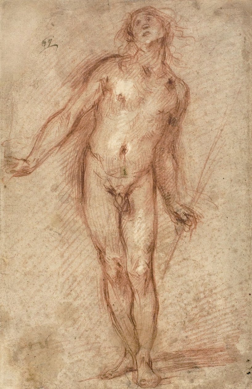 站立的男性裸体，1637-38 作者 塞科·布拉沃