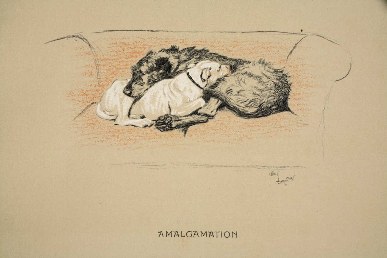 Amalgamation，1930年，第1版“睡眠伙伴”，Aldin，Cecil Charles Windsor（1870-1935），由Eyre和Spottiswoode Limited，Chalk和Charcoal出版在纸上 作者 塞西尔·查尔斯·温莎·奥尔丁