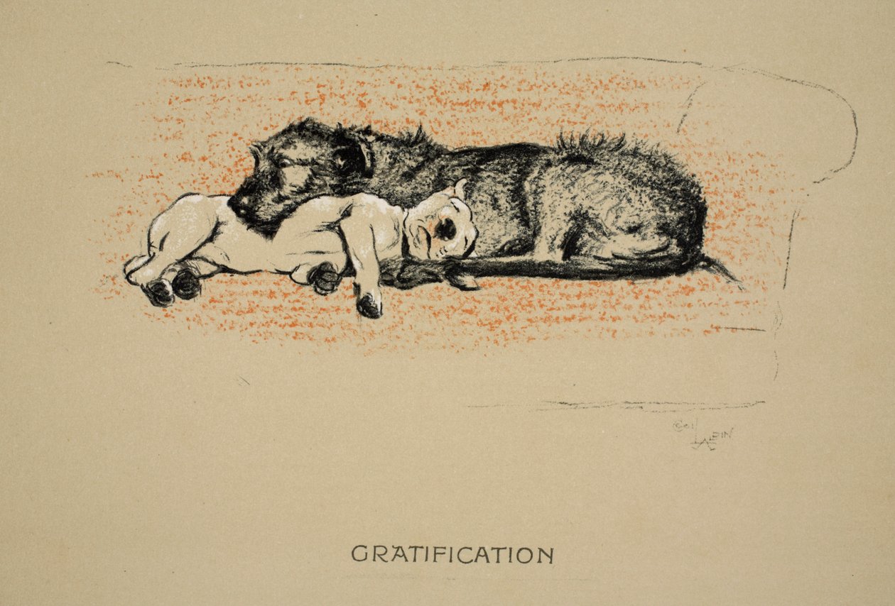令人满意，1930年，第一版“睡眠伙伴”，Aldin，Cecil Charles Windsor（1870-1935），由Eyre和Spottiswoode Limited，Chalk和Charcoal出版在纸上 作者 塞西尔·查尔斯·温莎·奥尔丁
