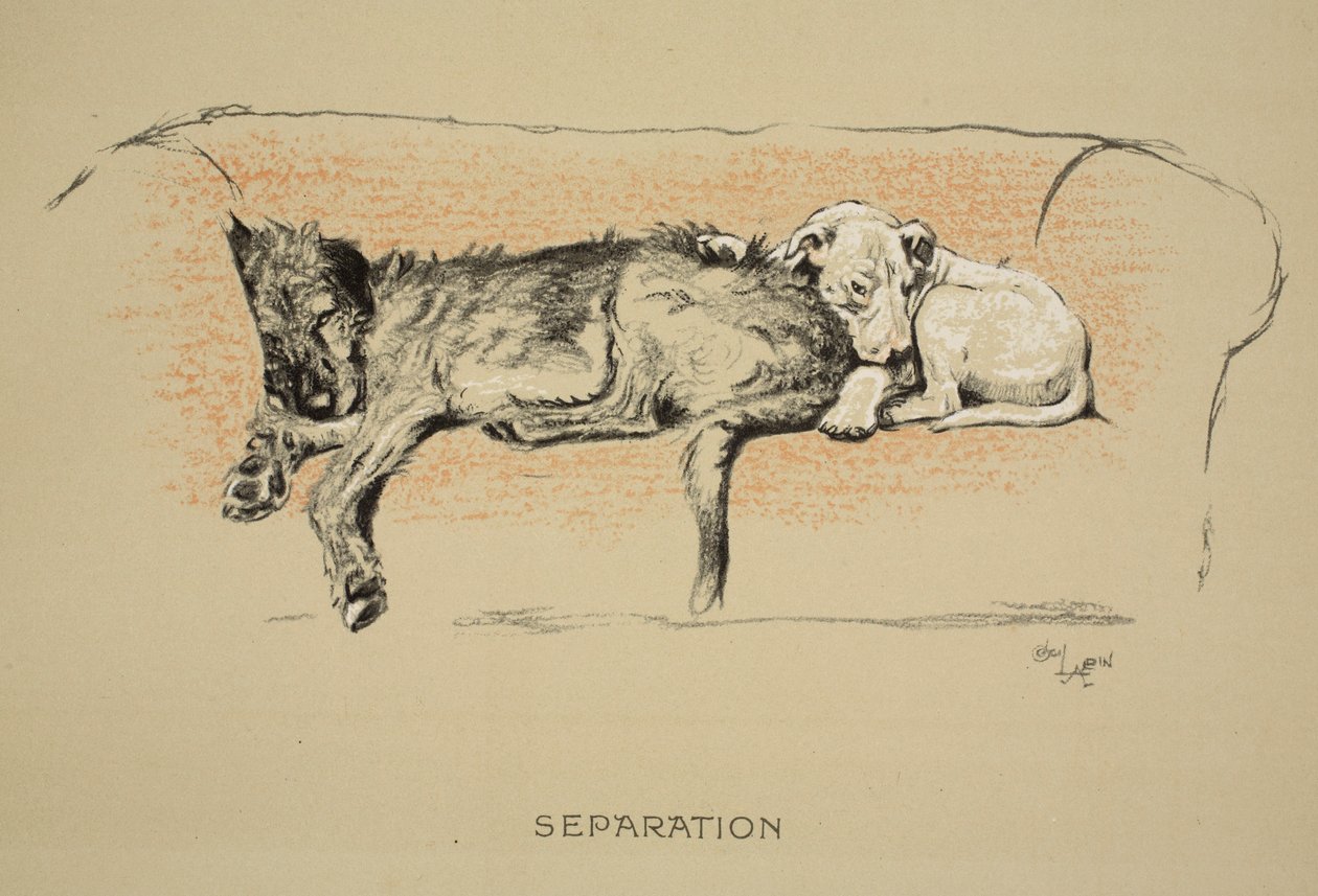 分离，1930年，第1版&39;睡眠伙伴&39;，Aldin，Cecil Charles Windsor（1870-1935），由Eyre和Spottiswoode Limited，Chalk和Charcoal出版在纸上 作者 塞西尔·查尔斯·温莎·奥尔丁