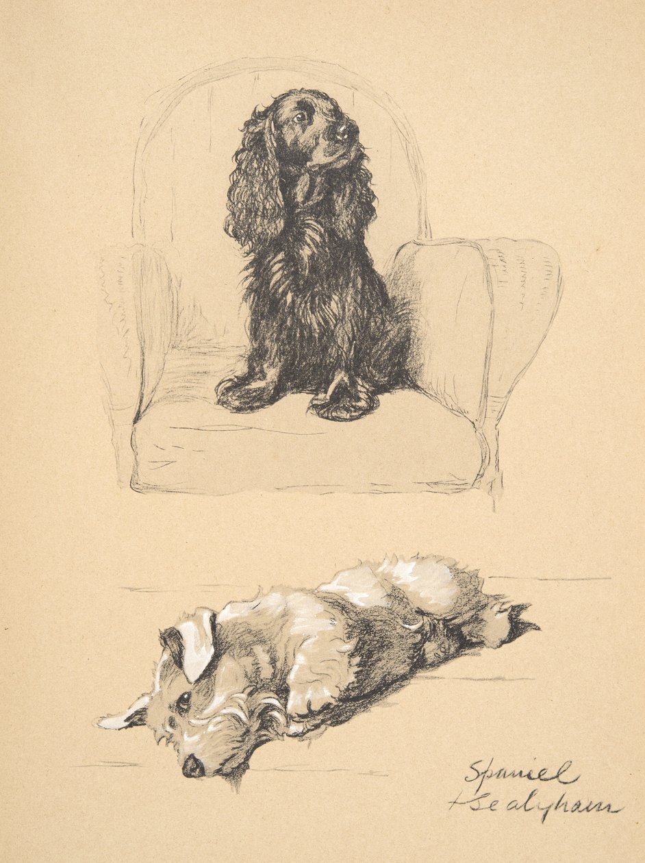 西班牙猎狗和Sealyham，1930年，他的素描书中的插图用于&39;Just Among Friends&39;，Aldin，Cecil Charles Windsor（1870-1935），后来由Eyre和Spottiswoode Limited出版，1934年，Chalk an 作者 塞西尔·查尔斯·温莎·奥尔丁