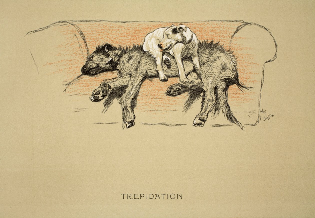 1930年，第一版“睡眠伙伴”，Aldin，Cecil Charles Windsor（1870-1935），由Eyre和Spottiswoode Limited，Chalk和Charcoal出版在纸上 作者 塞西尔·查尔斯·温莎·奥尔丁
