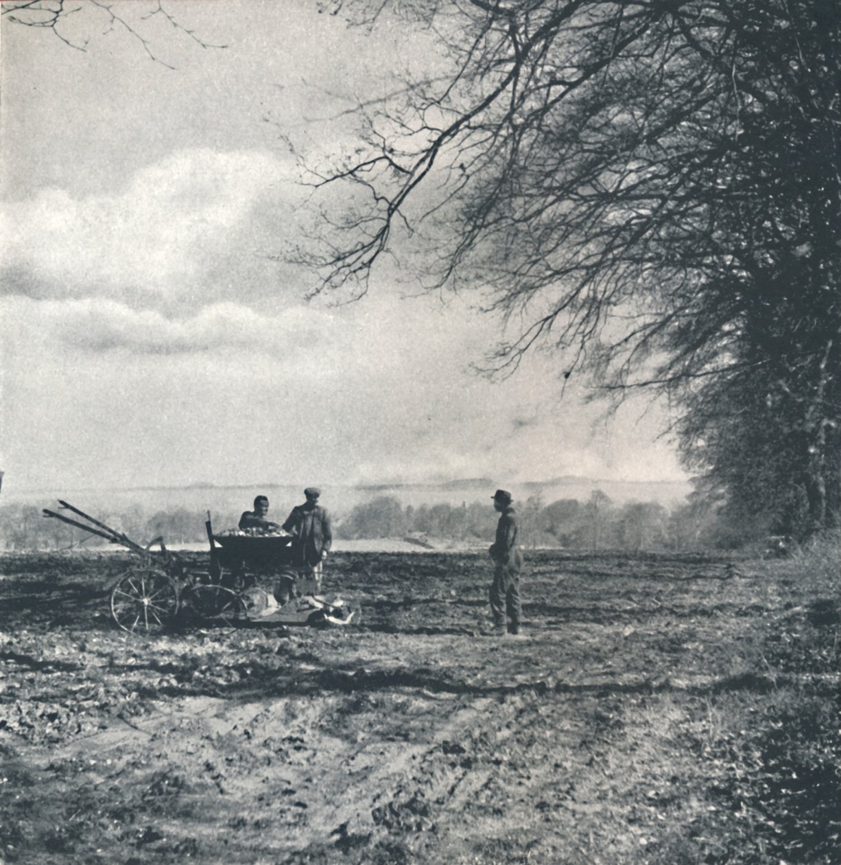 遥远的田野和犁沟，1941年 作者 塞西尔·比顿（Cecil Beaton）