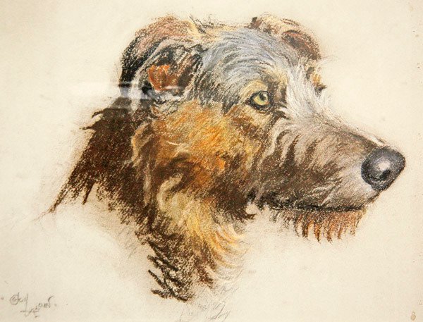 苏格兰猎鹿犬（着色纸上的粉彩画 作者 塞西尔·查尔斯·温莎·奥尔丁
