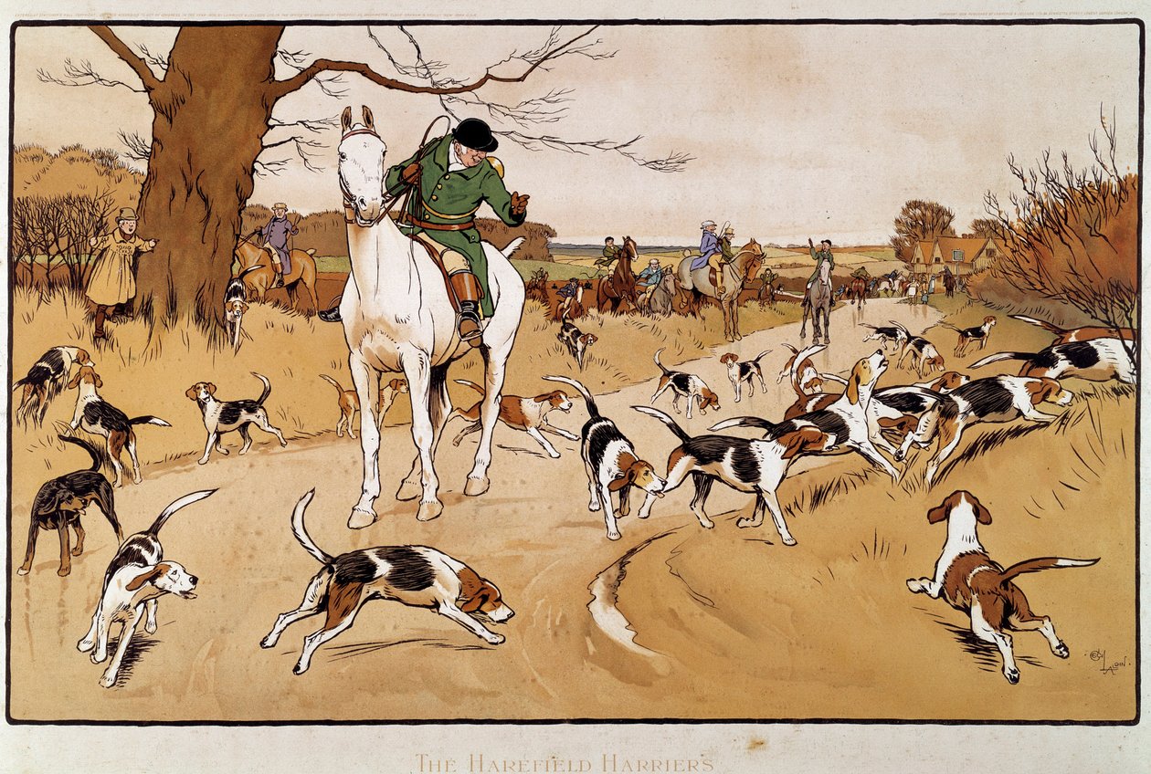 狩猎野兔。 塞西尔·奥尔丁（Cecil Aldin）的水彩画（1870-1935） 作者 塞西尔·查尔斯·温莎·奥尔丁