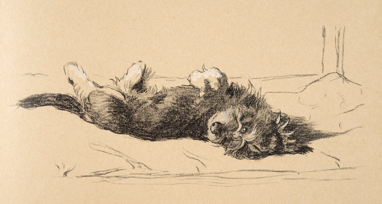 粗糙的Daschund Puppy细节，1930年，他的素描书中的插图用于朋友之间，Aldin，Cecil Charles Windsor（1870-1935），后来由Eyre和Spottiswoode Limited出版，1934年，Cha 作者 塞西尔·查尔斯·温莎·奥尔丁