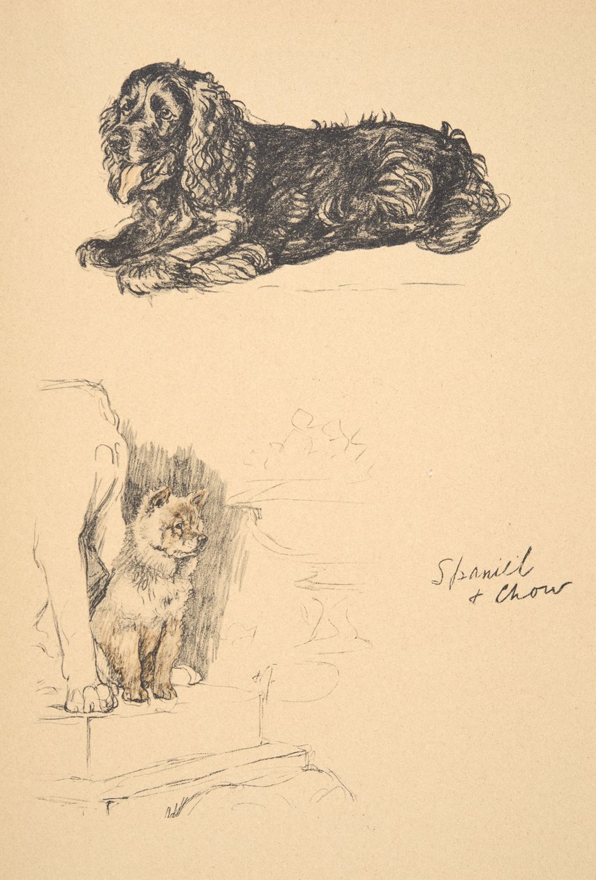 西班牙猎狗和周，1930年，插图来自他的素描书，用于朋友之间，阿尔丁，塞西尔查尔斯温莎（1870-1935），后来由艾尔和Spottiswoode有限公司出版，1934年，粉笔和字符 作者 塞西尔·查尔斯·温莎·奥尔丁
