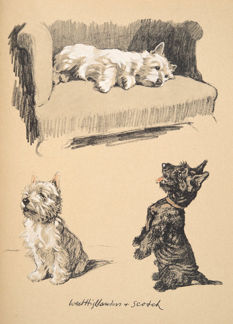 West Highlanders and Scotch，1930，他的素描书中的插图，用于朋友之间，后来由Eyre和Spottiswoode Limited出版，1934年（粉笔和charcolal在纸上） 作者 塞西尔·查尔斯·温莎·奥尔丁