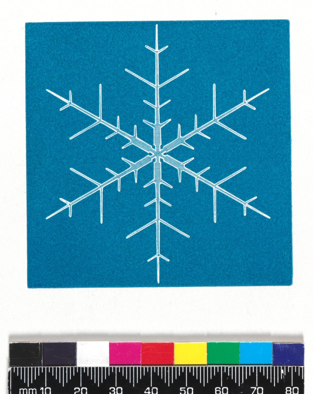 雪花晶体 作者 塞西莉亚·格莱舍