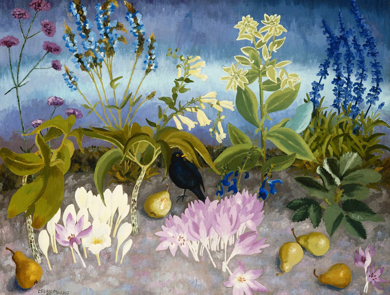 黑鸟和花 作者 塞德里克·莫里斯