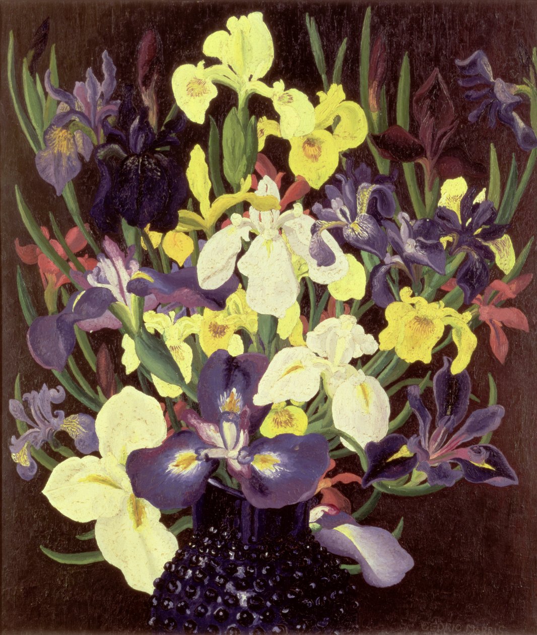 鸢尾花群，约1940年 作者 塞德里克·莫里斯