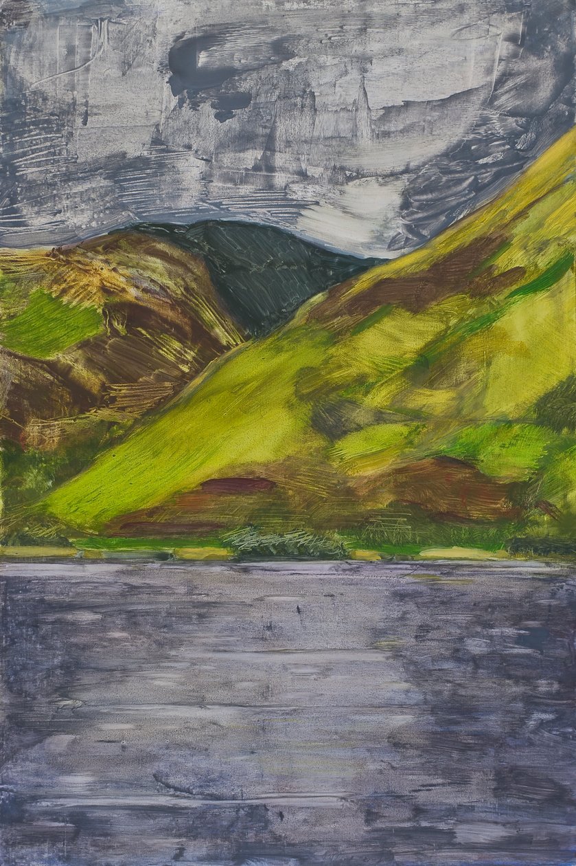 塔里林湖，威尔士，2010 年（油画板） 作者 