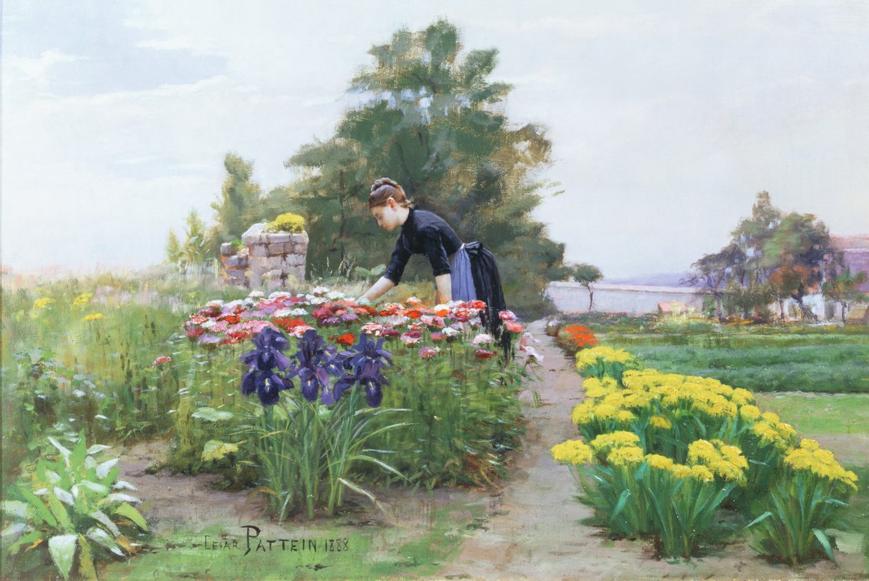 花园，1888年 作者 塞萨尔·帕特因