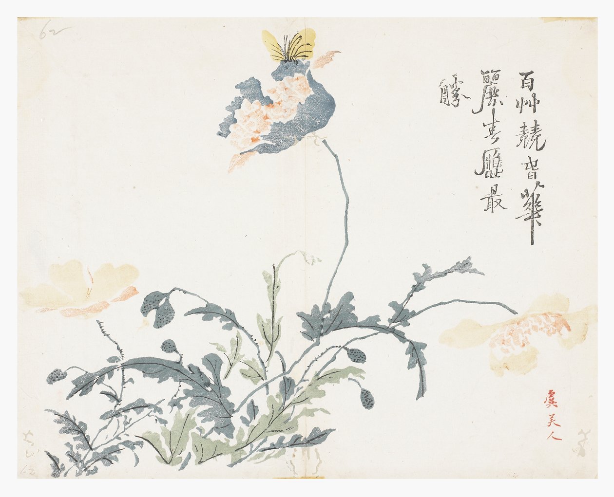 芥菜籽园 作者 赵小燕（后）