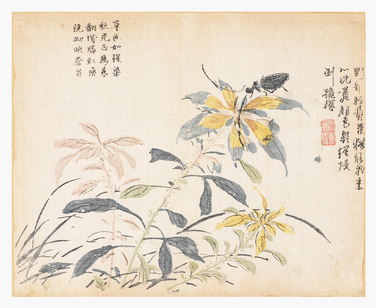 芥菜籽园 作者 晁仪（后）