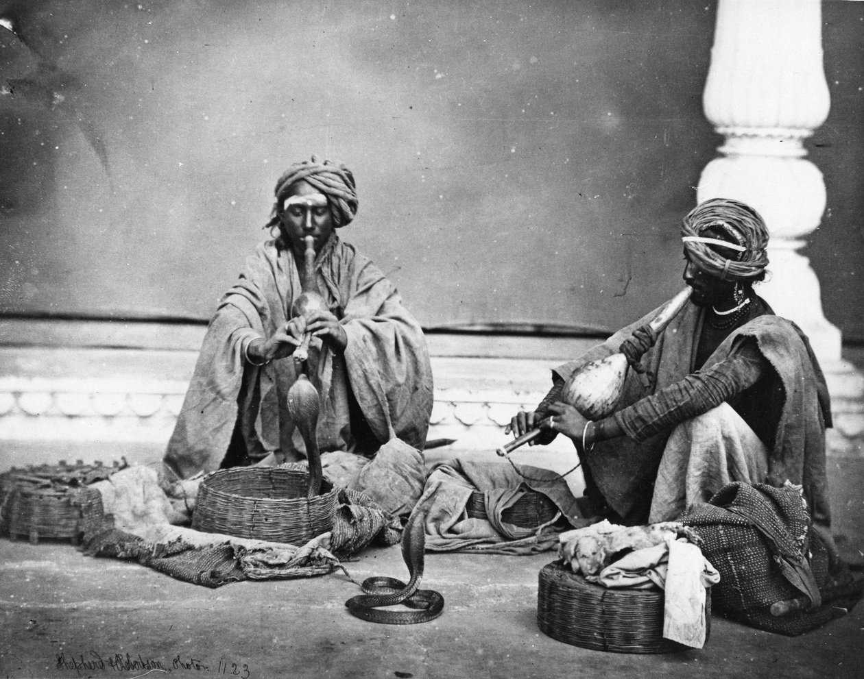 Snake Charmers，c.1863 作者 查尔斯·罗伯逊