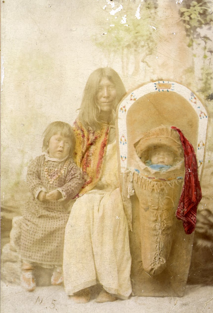 Ute Indians，来自科罗拉多州南部，1895年 作者 查尔斯·纳斯特