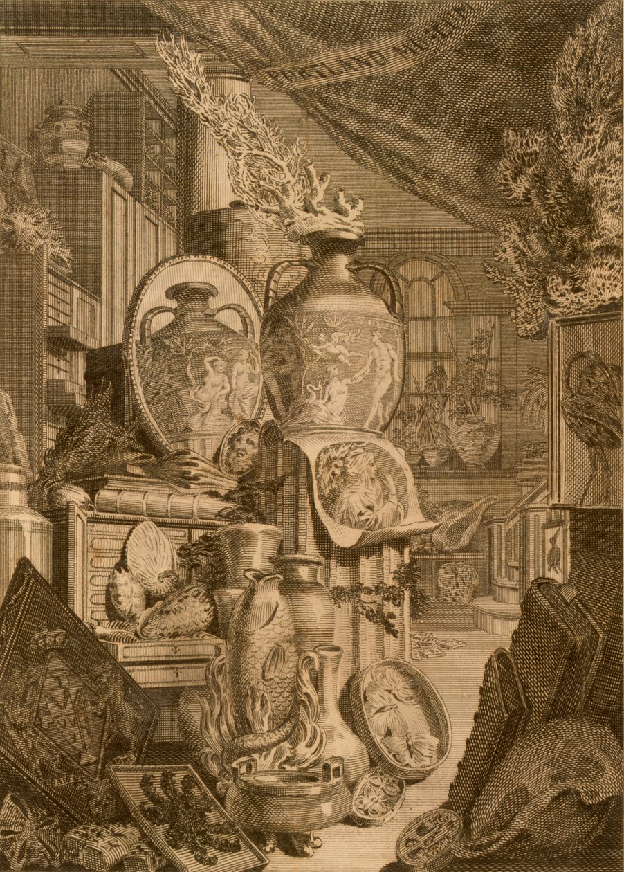 波特兰博物馆，1786年 作者 