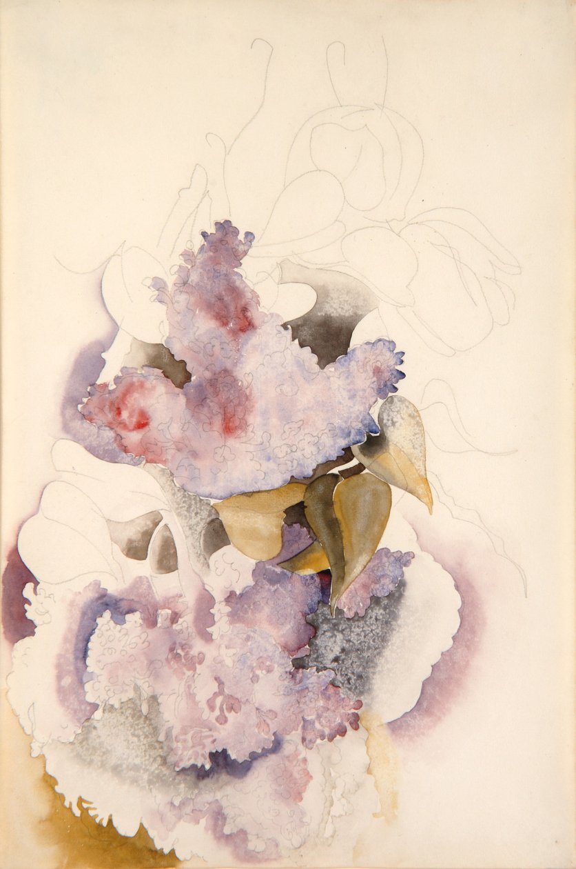紫丁香，c.1917 作者 查尔斯·德穆斯
