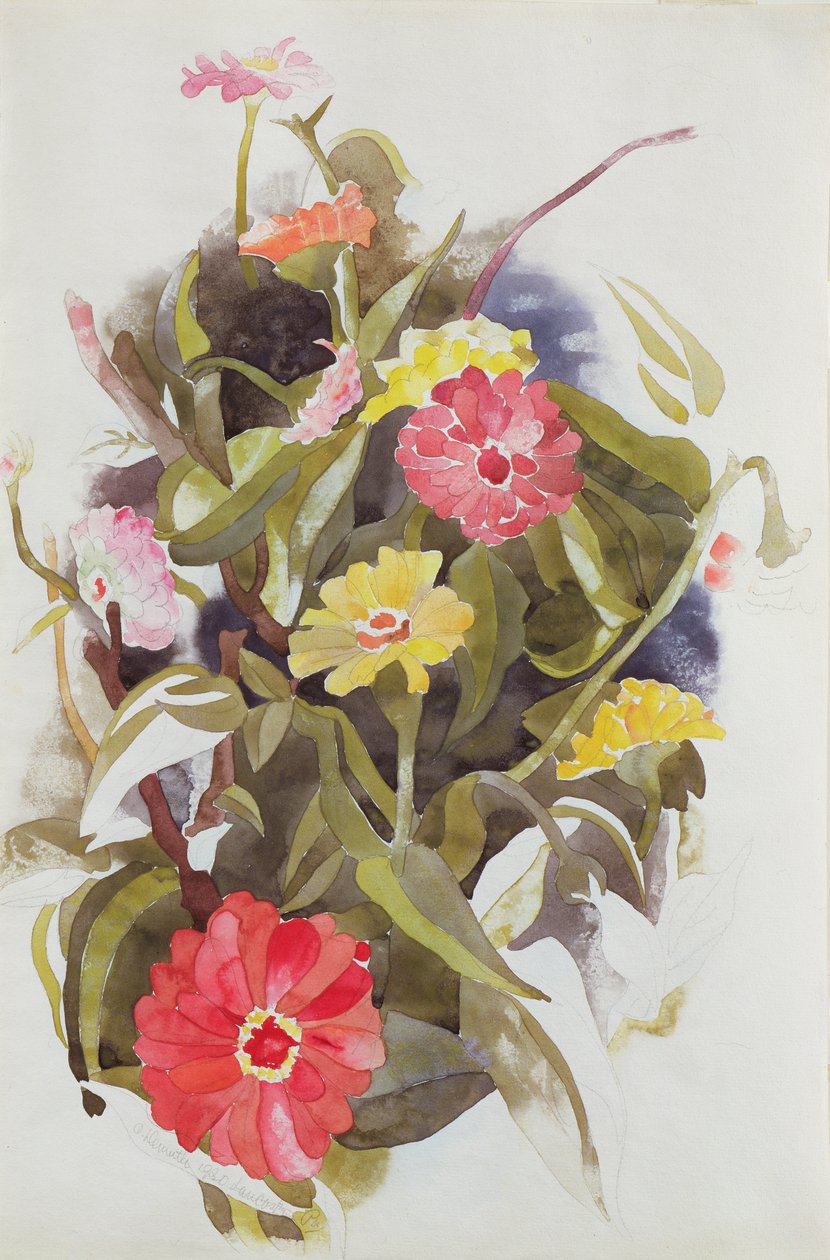齐尼亚斯，1920年（纸上写着） 作者 查尔斯·德穆斯