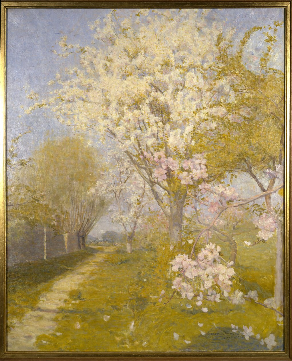 苹果花在Dennemont，1893年 作者 查尔斯·爱德华·康德