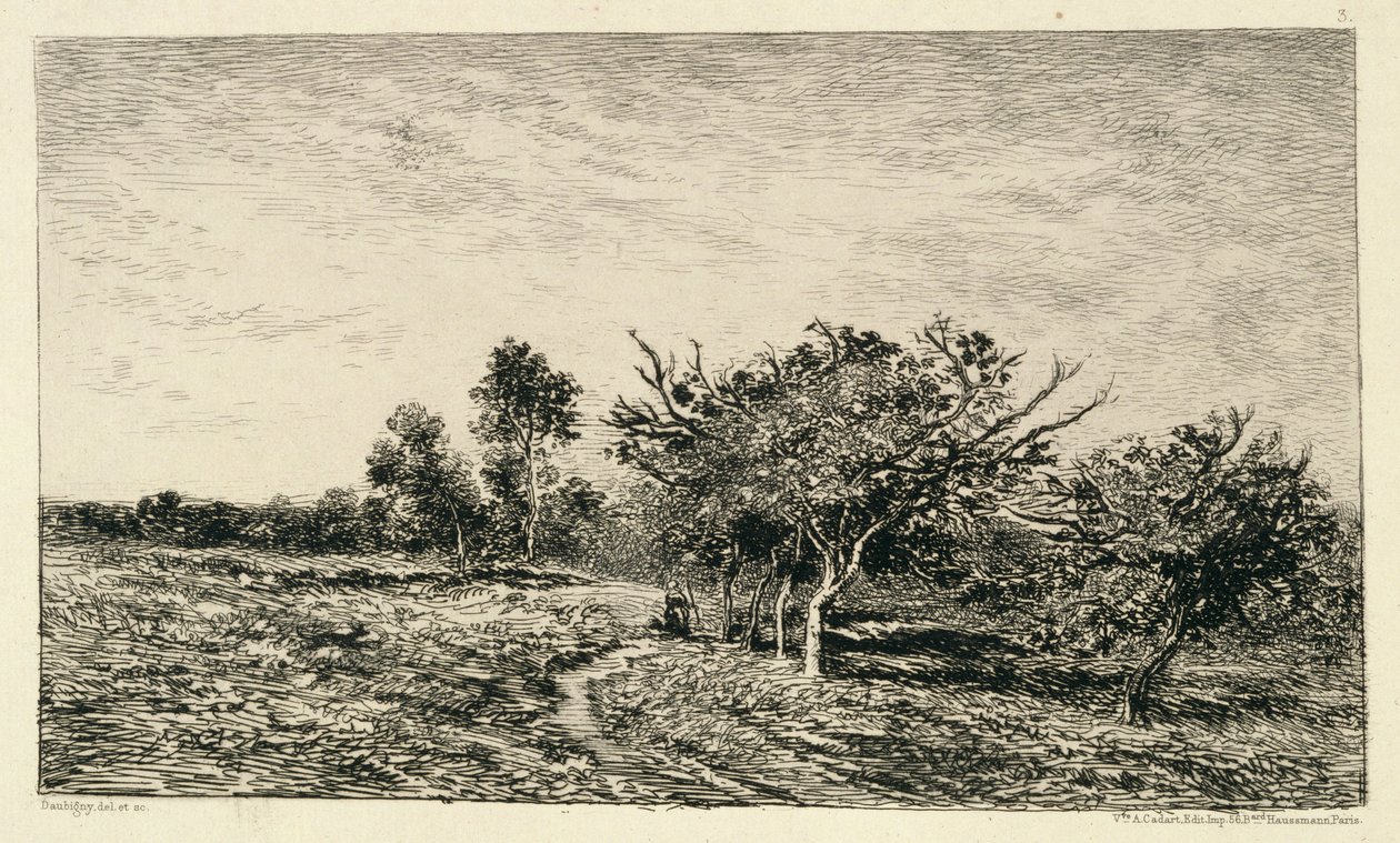 奥弗的苹果树（Pommiers a Auvers），1877年 作者 查尔斯·弗朗索瓦·杜比尼
