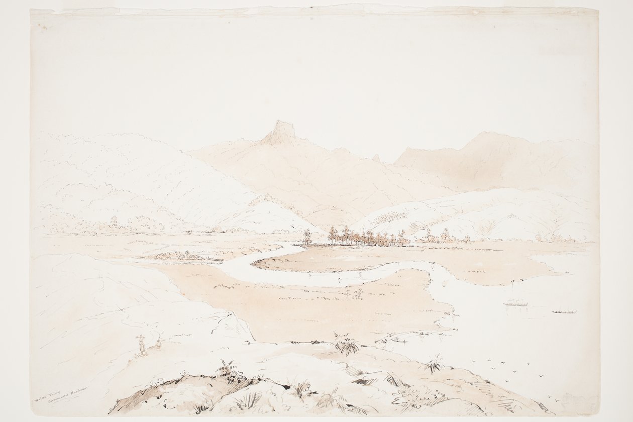 Waiau Valley科罗曼德港 作者 查尔斯·希菲