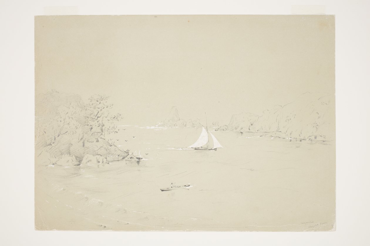 Wangaaihu Wangaroa Coast 作者 查尔斯·希菲