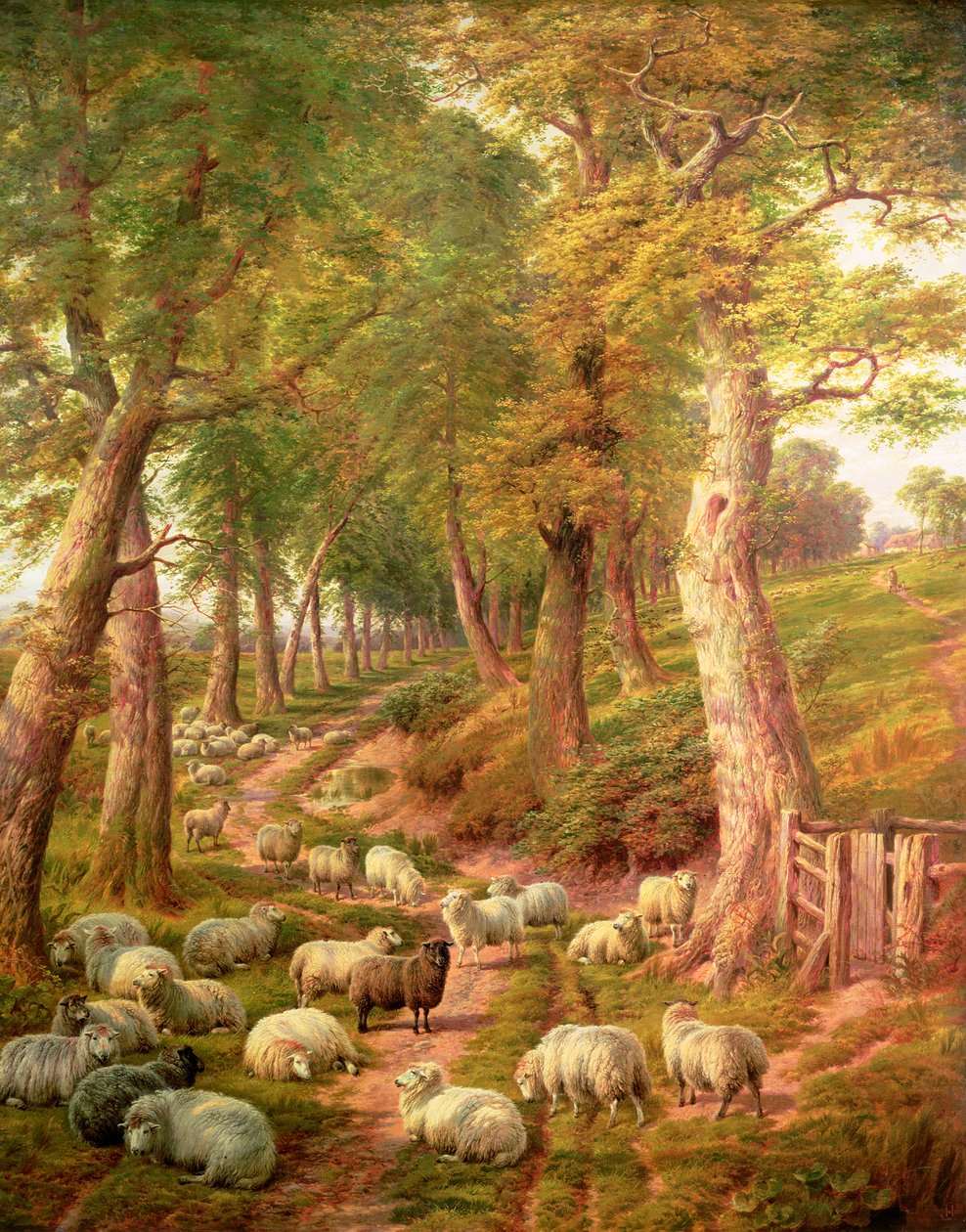 与绵羊的风景 作者 查尔斯·琼斯